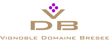 https://suttonjazz.com/wp-content/uploads/2024/04/logo-vignoble-domaine-bresee.png