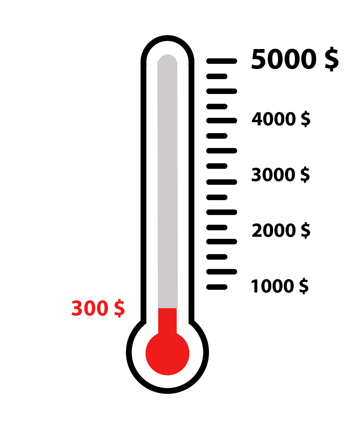 thermo300